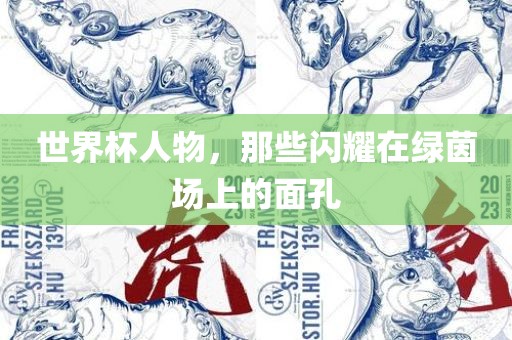世界杯人物，那些闪耀在绿茵场上的面孔