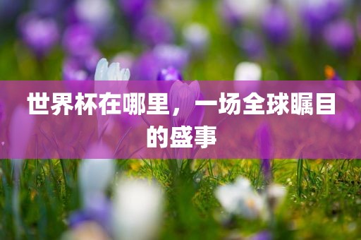世界杯在哪里，一场全球瞩目的盛事