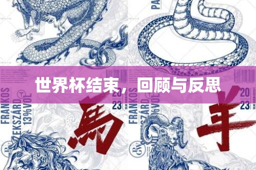 世界杯结束，回顾与反思