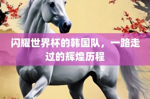 闪耀世界杯的韩国队，一路走过的辉煌历程
