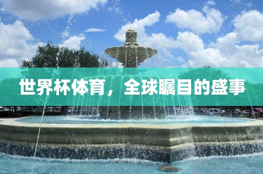 世界杯体育，全球瞩目的盛事