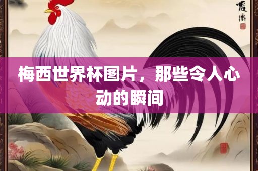 梅西世界杯图片，那些令人心动的瞬间