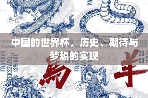 中国的世界杯，历史、期待与梦想的实现