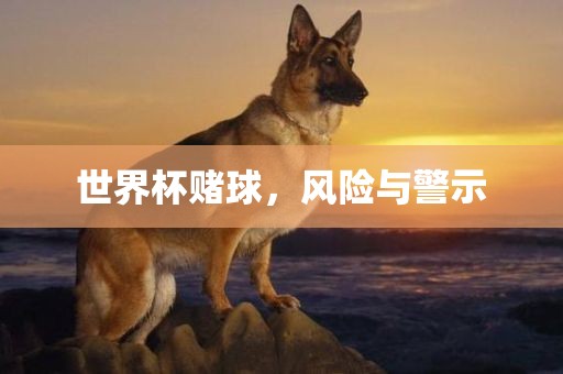 世界杯赌球，风险与警示