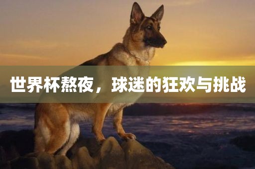世界杯熬夜，球迷的狂欢与挑战