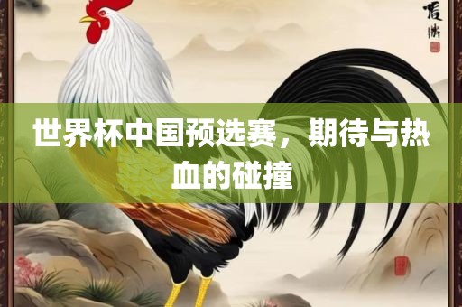 世界杯中国预选赛，期待与热血的碰撞