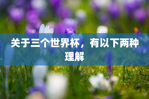 关于三个世界杯，有以下两种理解