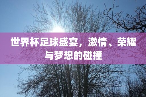世界杯足球盛宴，激情、荣耀与梦想的碰撞