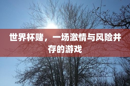 世界杯赌，一场激情与风险并存的游戏