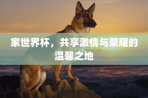 家世界杯，共享激情与荣耀的温馨之地