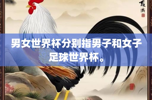 男女世界杯分别指男子和女子足球世界杯。