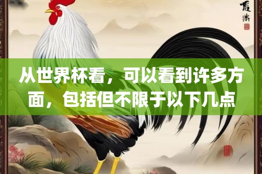 从世界杯看，可以看到许多方面，包括但不限于以下几点