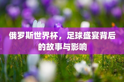 俄罗斯世界杯，足球盛宴背后的故事与影响