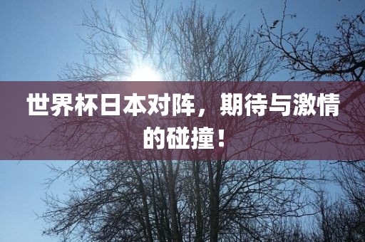 世界杯日本对阵，期待与激情的碰撞！