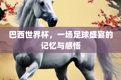 巴西世界杯，一场足球盛宴的记忆与感悟