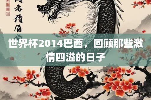 世界杯2014巴西，回顾那些激情四溢的日子