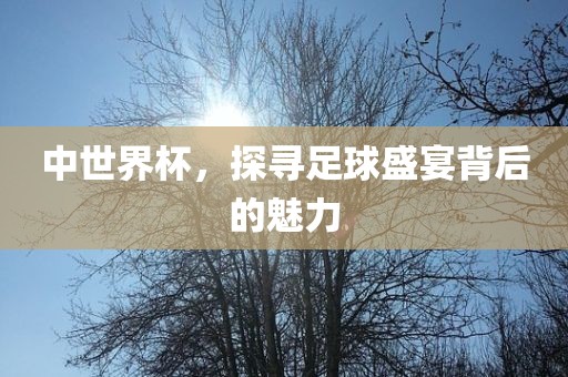 中世界杯，探寻足球盛宴背后的魅力