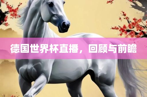 德国世界杯直播，回顾与前瞻