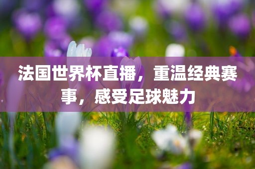 法国世界杯直播，重温经典赛事，感受足球魅力