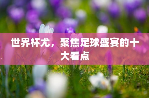 世界杯尤，聚焦足球盛宴的十大看点