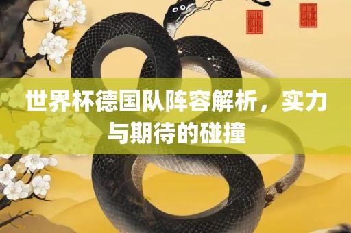 世界杯德国队阵容解析，实力与期待的碰撞