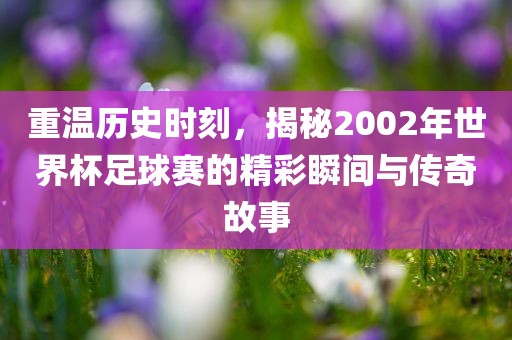 重温历史时刻，揭秘2002年世界杯足球赛的精彩瞬间与传奇故事