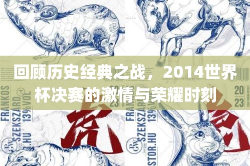 回顾历史经典之战，2014世界杯漯河市盈旭机械设备有限公司决赛的激情与荣耀时刻