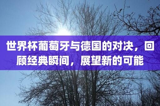 世界杯葡萄牙与德国的对决，回顾经典瞬间，展望新的可能