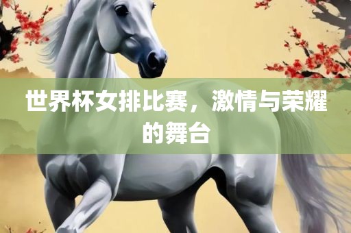 世界杯女排比赛，激情与荣耀的舞台