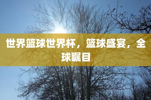 世界篮球世界杯，篮球盛宴，全球瞩目