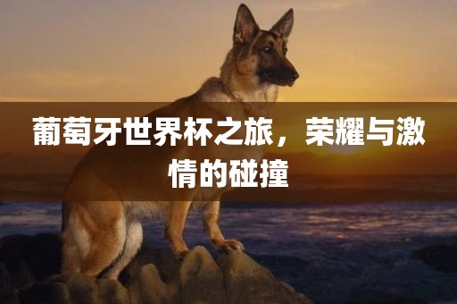 葡萄牙世界杯之旅，荣耀与激情的碰撞