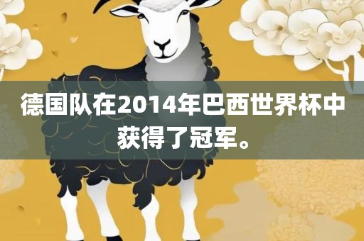 德国队在2014年巴西世界杯中获得了冠军。