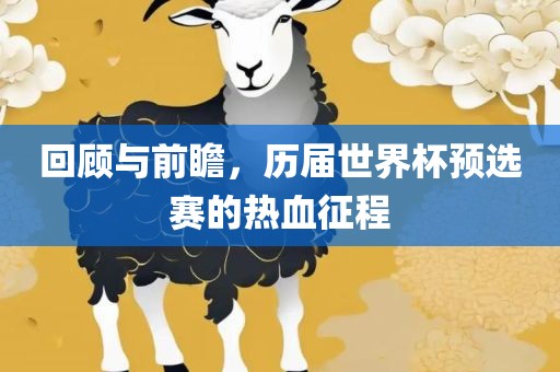 回顾与前瞻，历届世界杯预选赛的热血征程