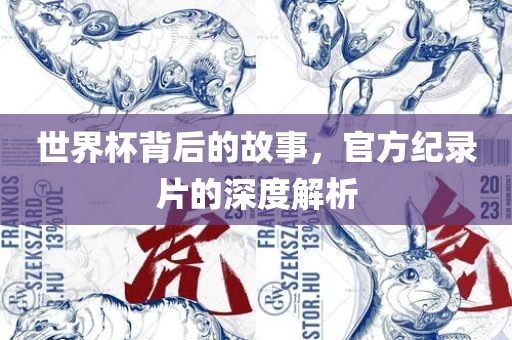 世界杯背后的故事，官方纪录片的深度解析