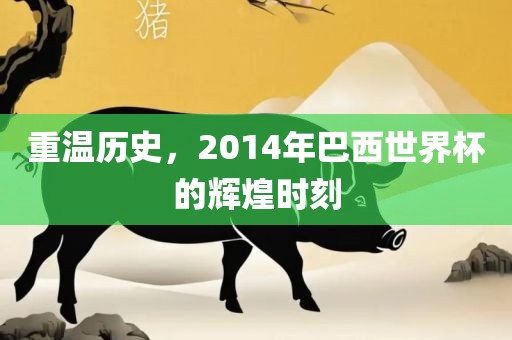 重温历史，2014年巴西世界杯的辉煌时刻
