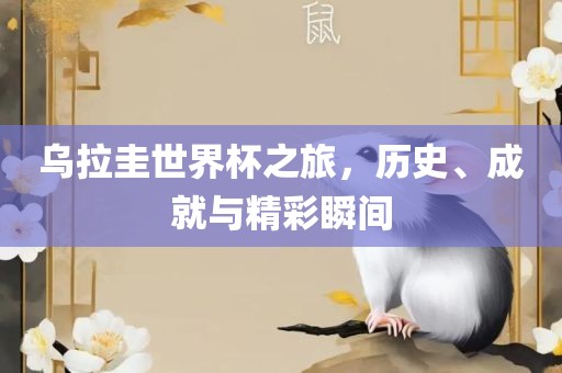 乌拉圭世界杯之旅，历史、成就与精彩瞬间