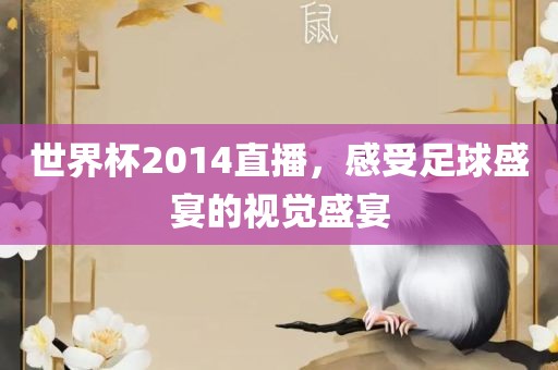 世界杯2014直播，感受足球盛宴的视觉盛宴