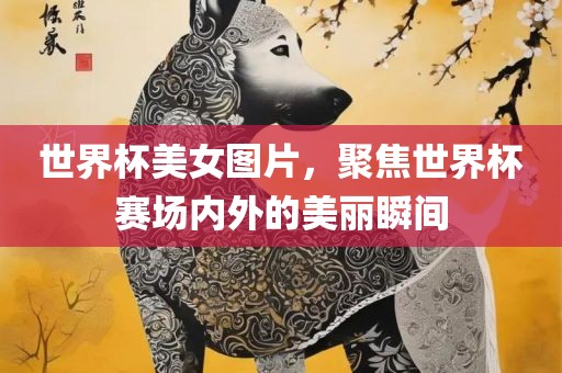 世界杯美女图片，聚焦世界杯赛场内外的美丽瞬间