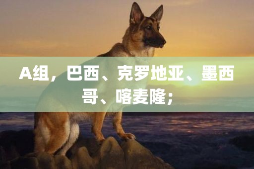 A组，巴西、克罗地亚、墨西哥、喀麦隆；