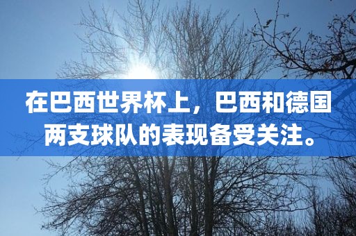 在巴西世界杯上，巴西和德国两支球队的表现备受关注。