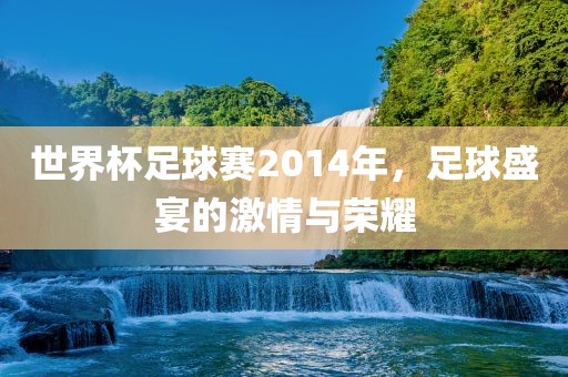 世界杯足球赛2014年，足球盛宴的激情与荣耀