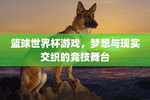 篮球世界杯游戏，梦想与现实交织的竞技舞台
