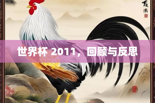 世界杯 2011，回顾与反思