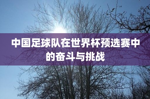 中国足球队在世界杯预选赛中的奋斗与挑战