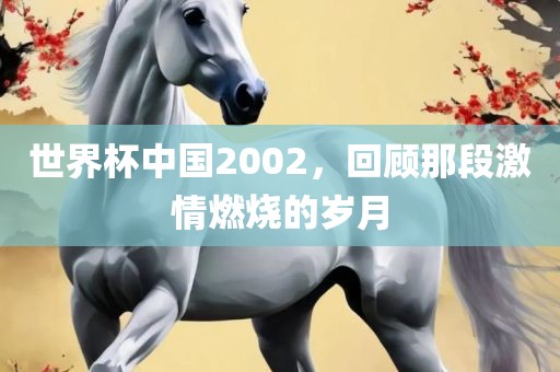 世界杯中国2002，回顾那段激情燃烧的岁月