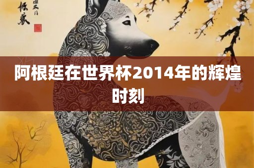 阿根廷在世界杯2014年的辉煌时刻