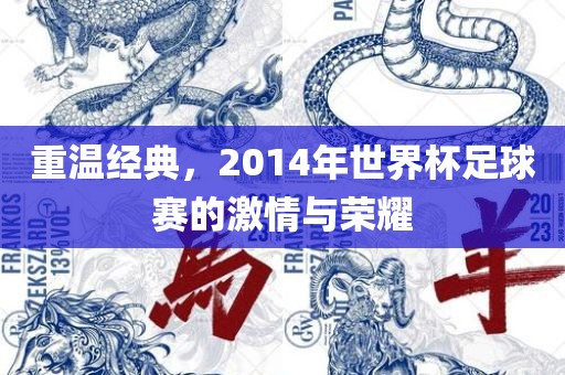 重温经典，2014年世界杯足球赛的激情与荣耀