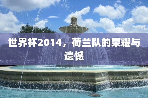 世界杯2014，荷兰队的荣耀与遗憾