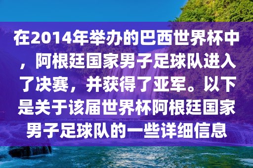 在2014年举办的巴西世界杯中，阿根廷国家男子足球队进入了决赛，并获得了亚军。以下是关于该届世界杯阿根廷国家男子足球队的一些详细信息