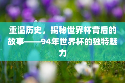 重温历史，揭秘世界杯背后的故事——94年世界杯的独特魅力